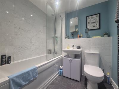 Picture 16